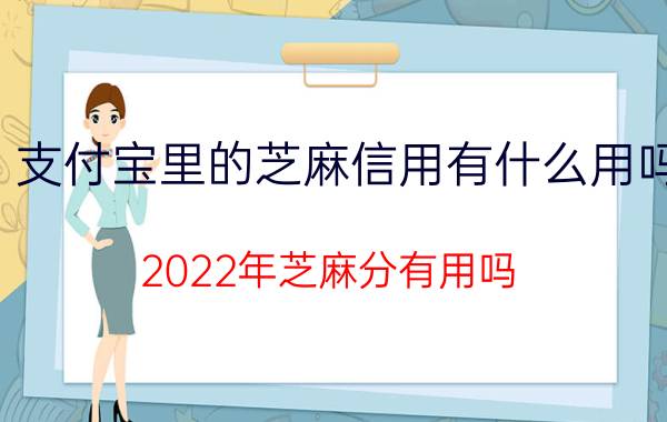 支付宝里的芝麻信用有什么用吗 2022年芝麻分有用吗？